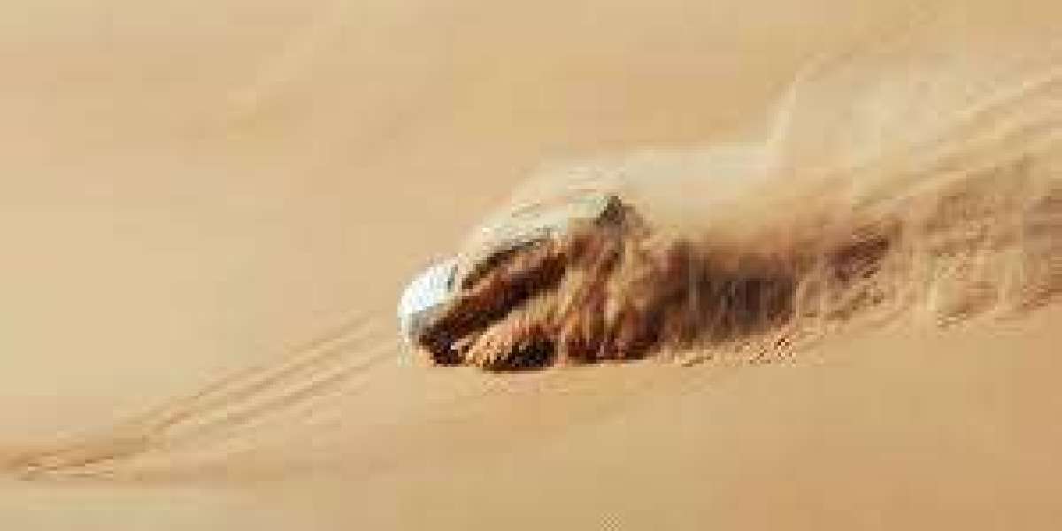 Conquer the Sands: Off-Road Adventures You Can’t Miss in Abu Dhabi