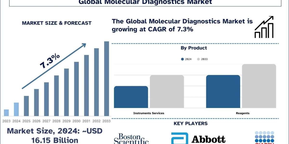 Molecular Diagnostics Market Report, Size, Segment & Forecast 2033