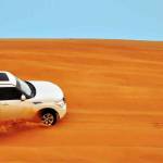 desertsafari abudhabitrips