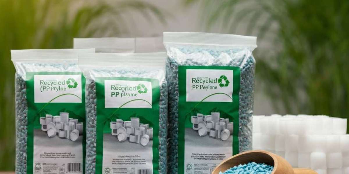 Best Recycled PP Plastic Provider: Recycled Materials Hub 