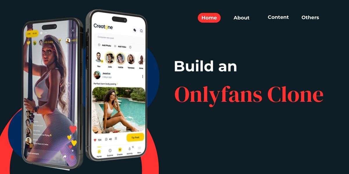 Building a Secure OnlyFans Clone: Key Strategies for Protecting User Data and Content