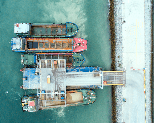 Opportunities in Cattle Feed Export from India: A Growing Market