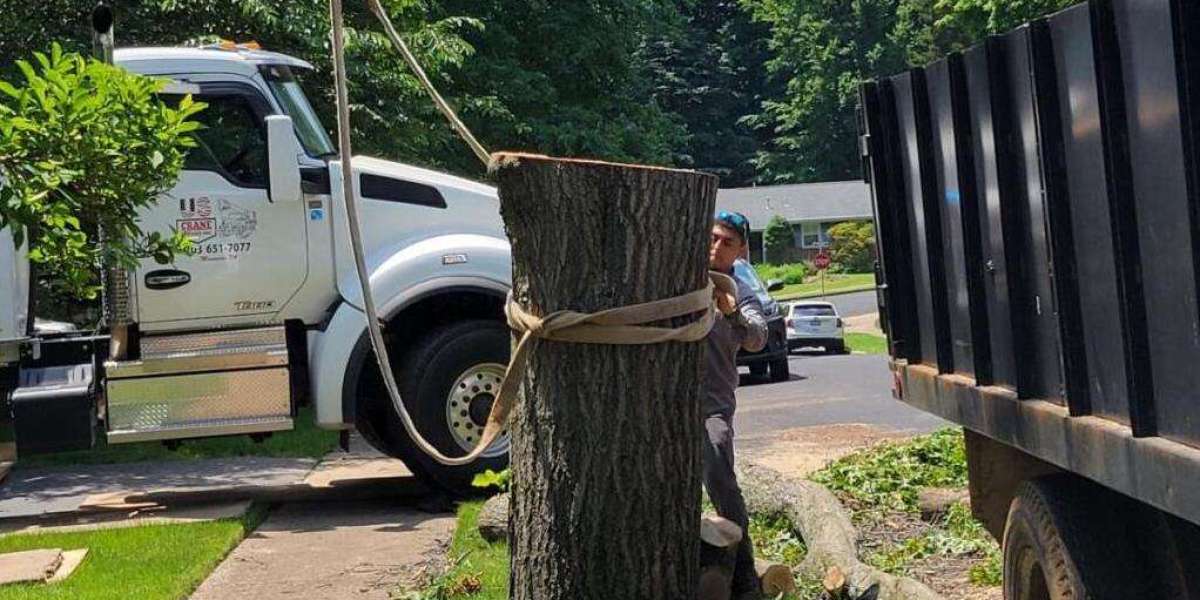 Transform Your Outdoors with Expert Patio Contractors, Landscaping, and Tree Services