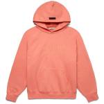 essentials hoodiestore