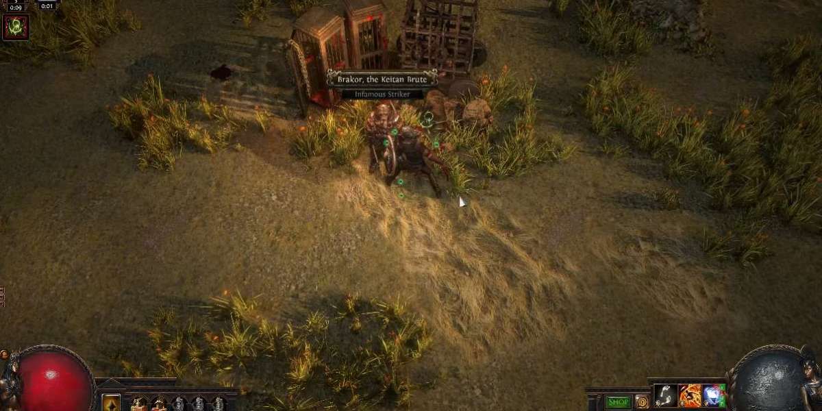MMOexp: Building Path of Exile 2 Without Breaking What Works