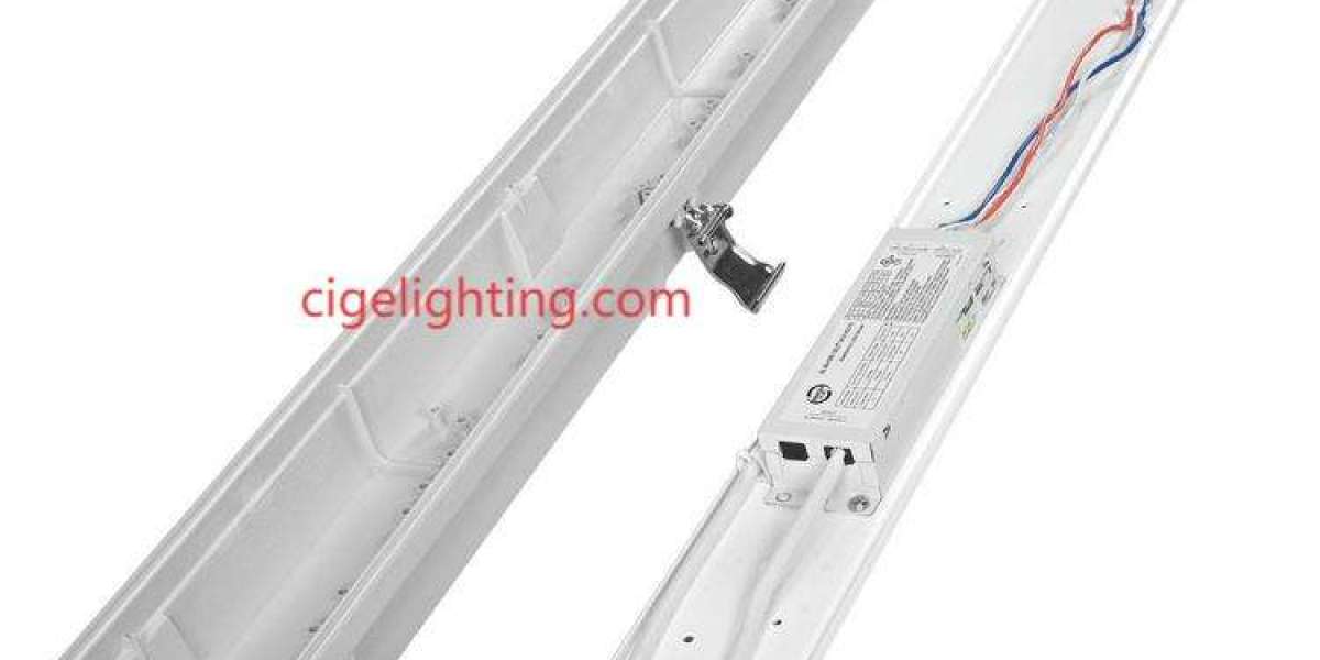 Kinetic Weather Resistance: Cigelighting Ip65 Waterproof Fixture