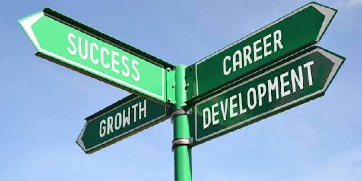 How Careers Advice Helps You Choose The Right Degree Or Apprenticeship