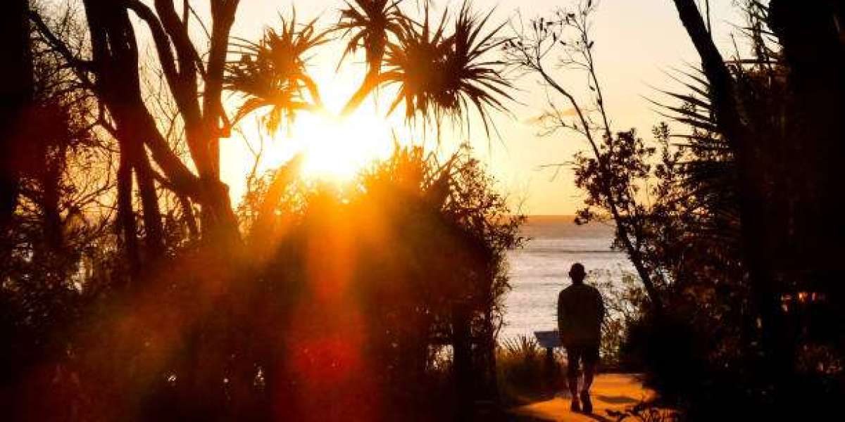 Navigating Mental Health with a Psychologist in Brisbane