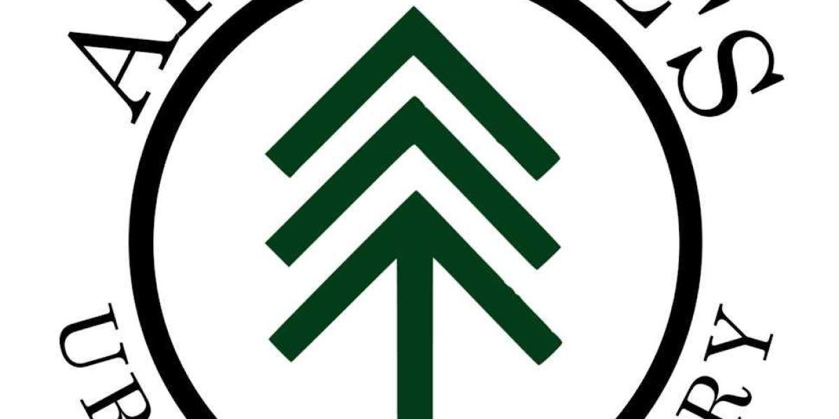 How to Choose the Best Camping Firewood for Your Outdoor Adventures
