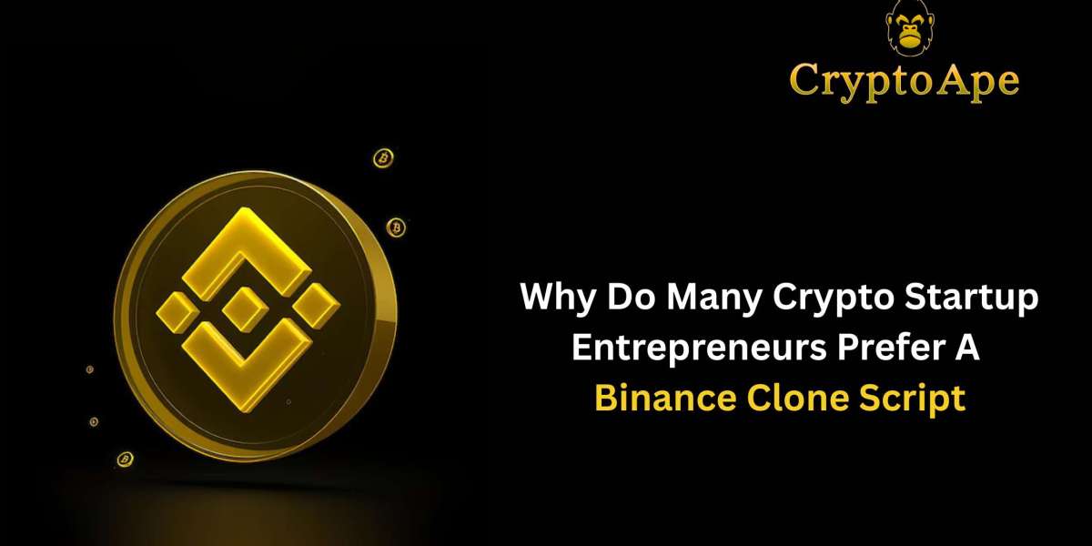 Why Do Many Crypto Startup Entrepreneurs Prefer a Binance Clone Script?
