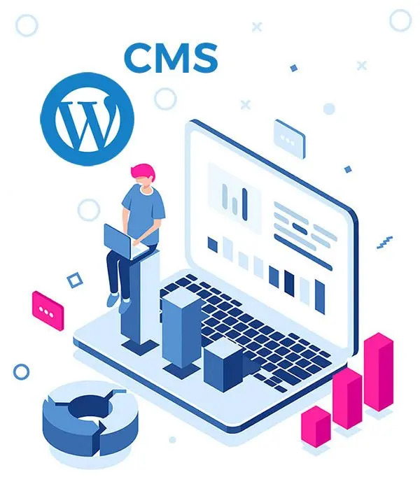 CMS WORDPRESS company in USA