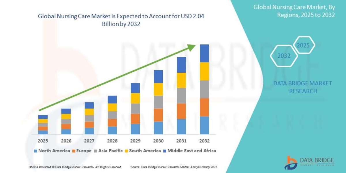 Nursing Care Global  Market: Landscape and Growth by 2025 - 2032