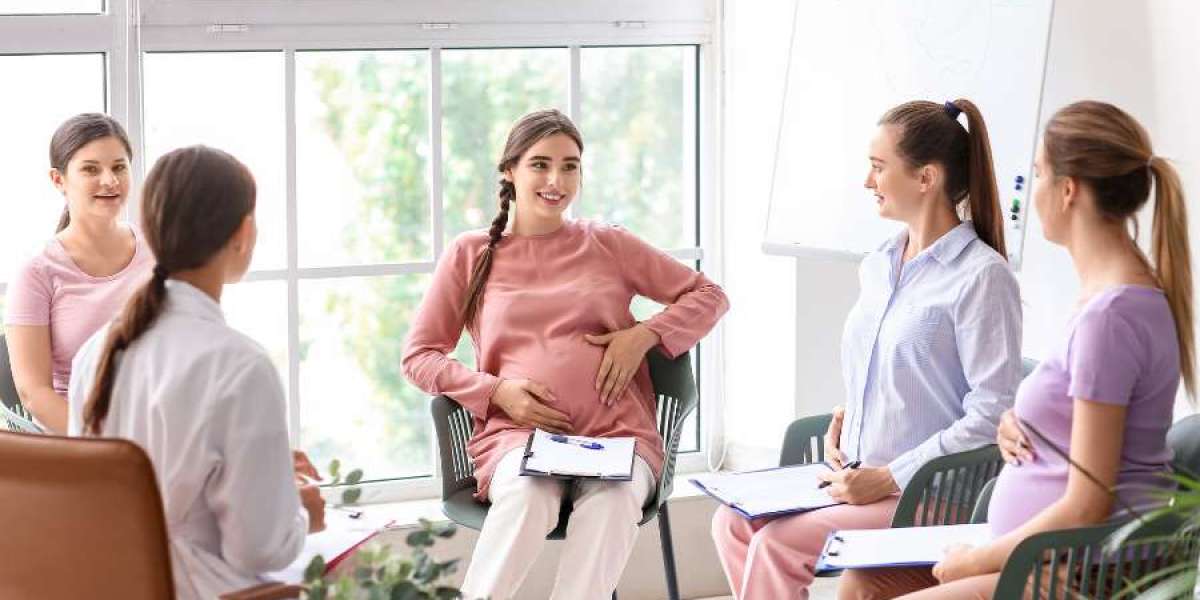 In What Ways Do Pregnancy Shelters Provide Holistic Care to Expectant Mothers?