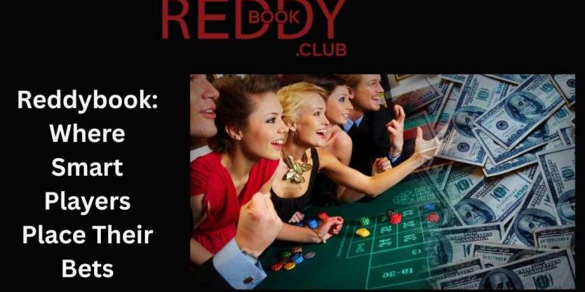 Reddybook: Where Smart Players Place Their Bets