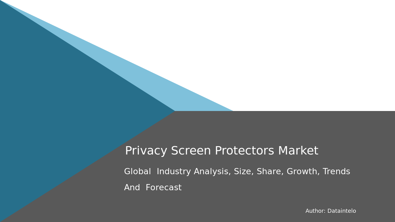 Privacy Screen Protectors Market Report | Global Forecast From 2025 To 2033