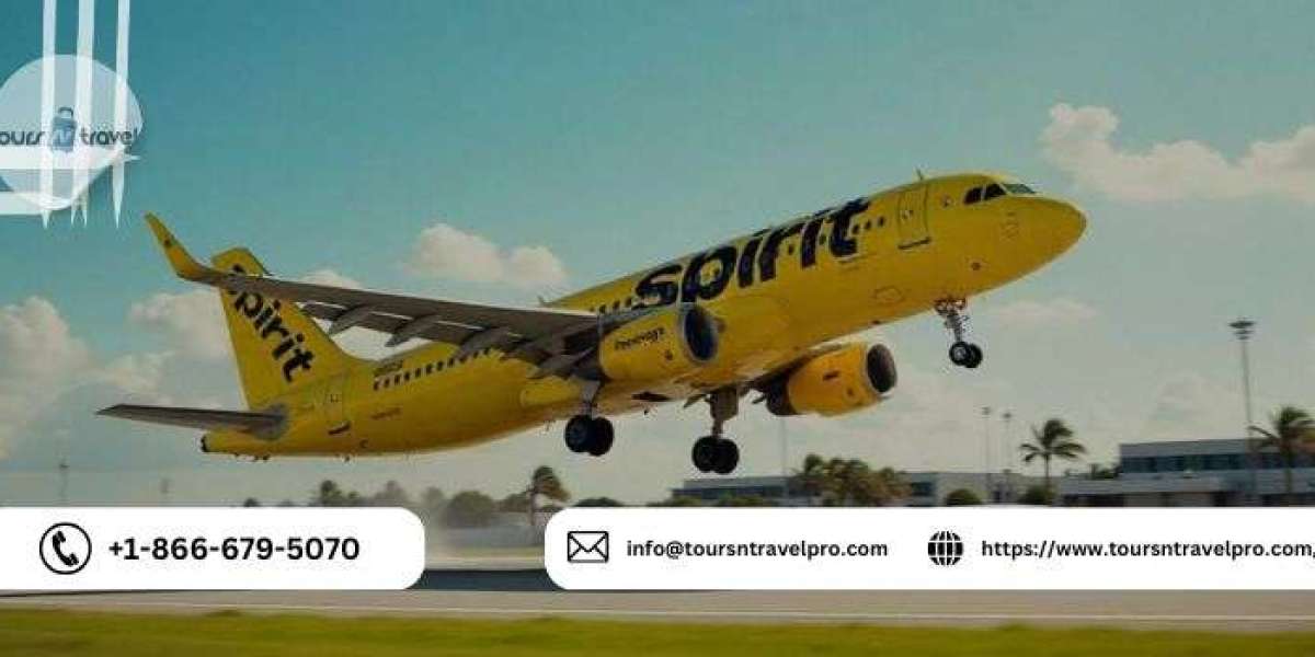 Spirit Airlines Name Change Policy