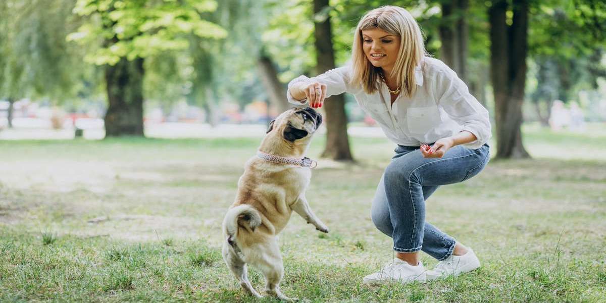Maryland Dog Training for Better Behavior & Bonding