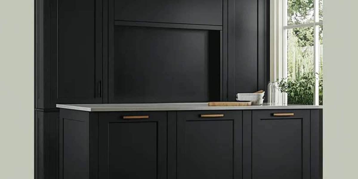 Black RTA kitchen cabinets and RTA bathroom vanities