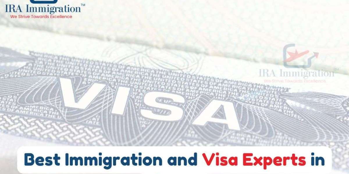 Best Immigration and Visa Experts in Delhi