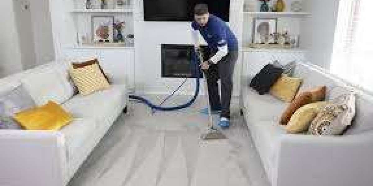 Expert Upholstery Cleaning Services in Naples