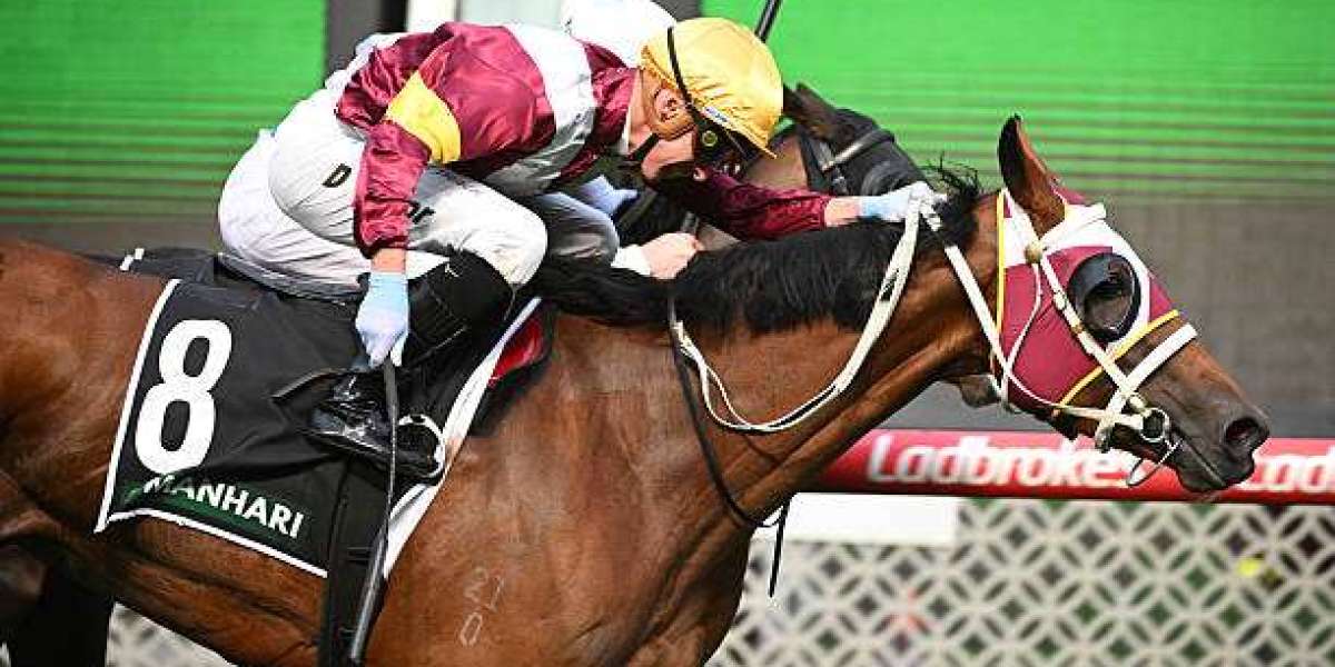 The Ultimate Guide to Finding the Best Australian Betting App