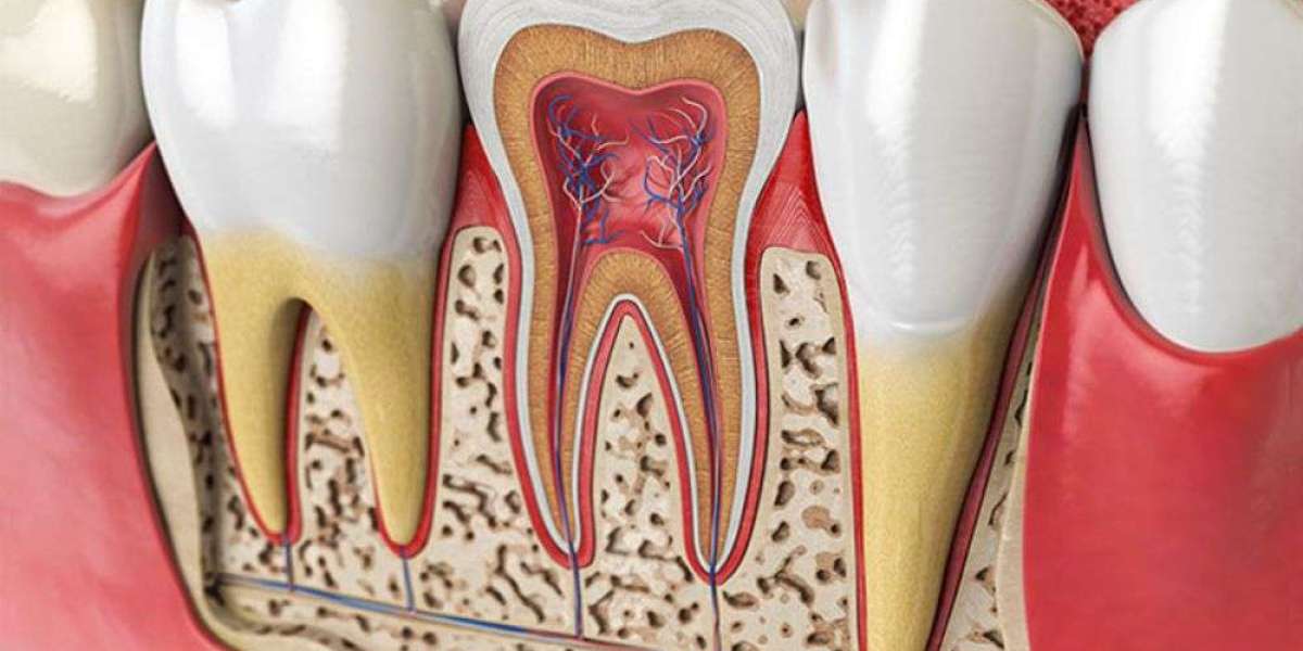 Trusted 24-Hour Emergency Dental Services Now Available in Scarborough