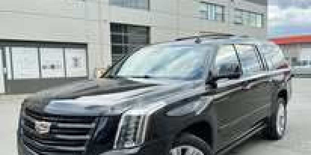 Car Detailing South Surrey BC: Elite Shine for Coastal Living