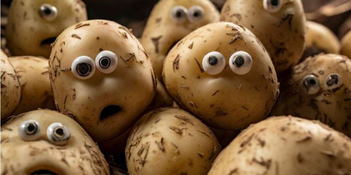 Potato电脑版 功能解析与 Potato中文版下载 完整指南