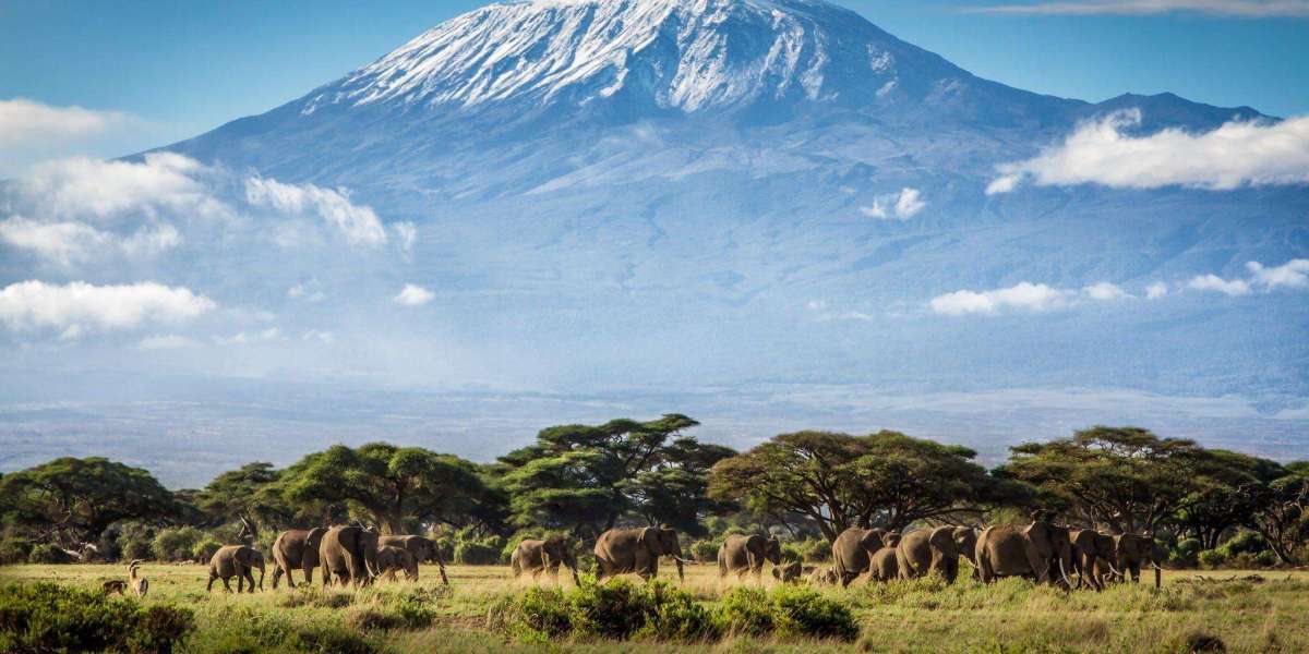 Travel Tips for First-Time Visitors Using a Tanzania eVisa