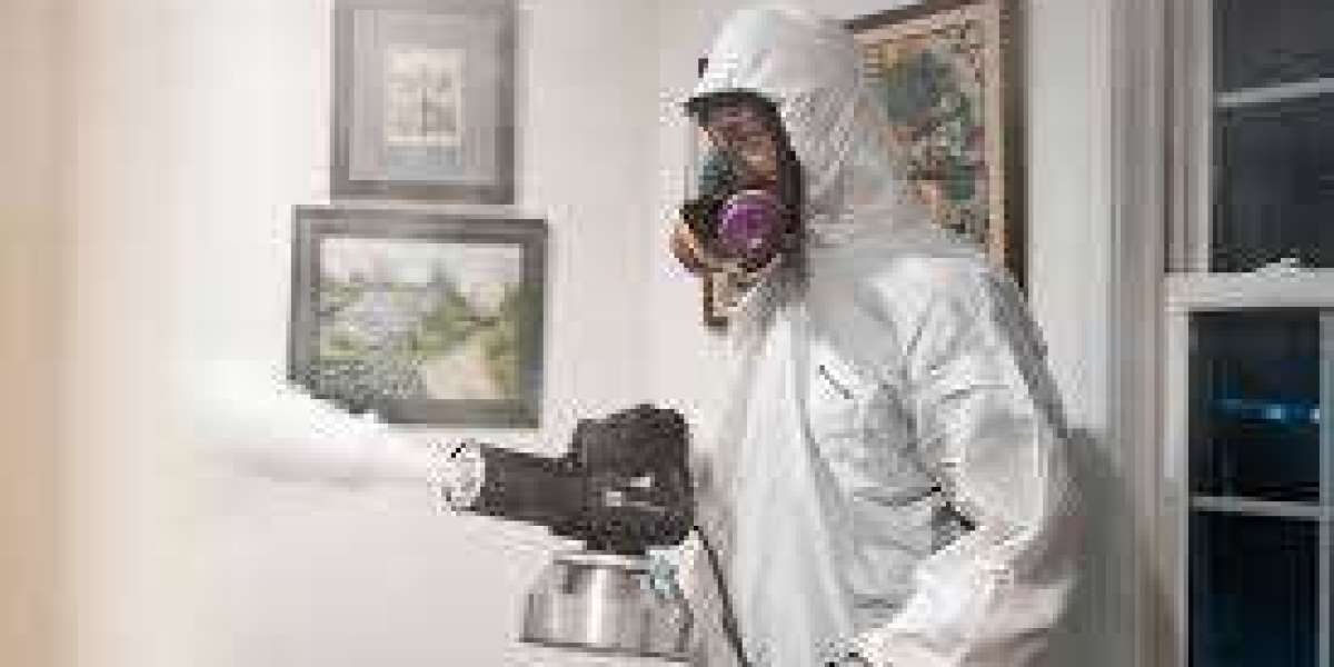 Decomposition Odor Removal Services: Ensuring a Safe and Clean Environment