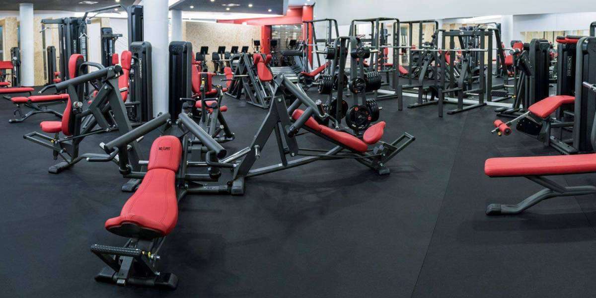 Elliptique Fitness : L’Appareil Complet pour Rester en Forme à Domicile
