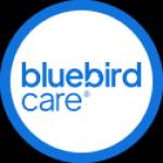 Bluebird Enfield