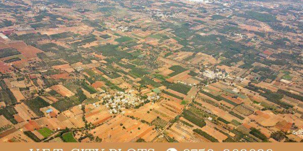 VET City Jhajjar – Affordable Plots Near MET City