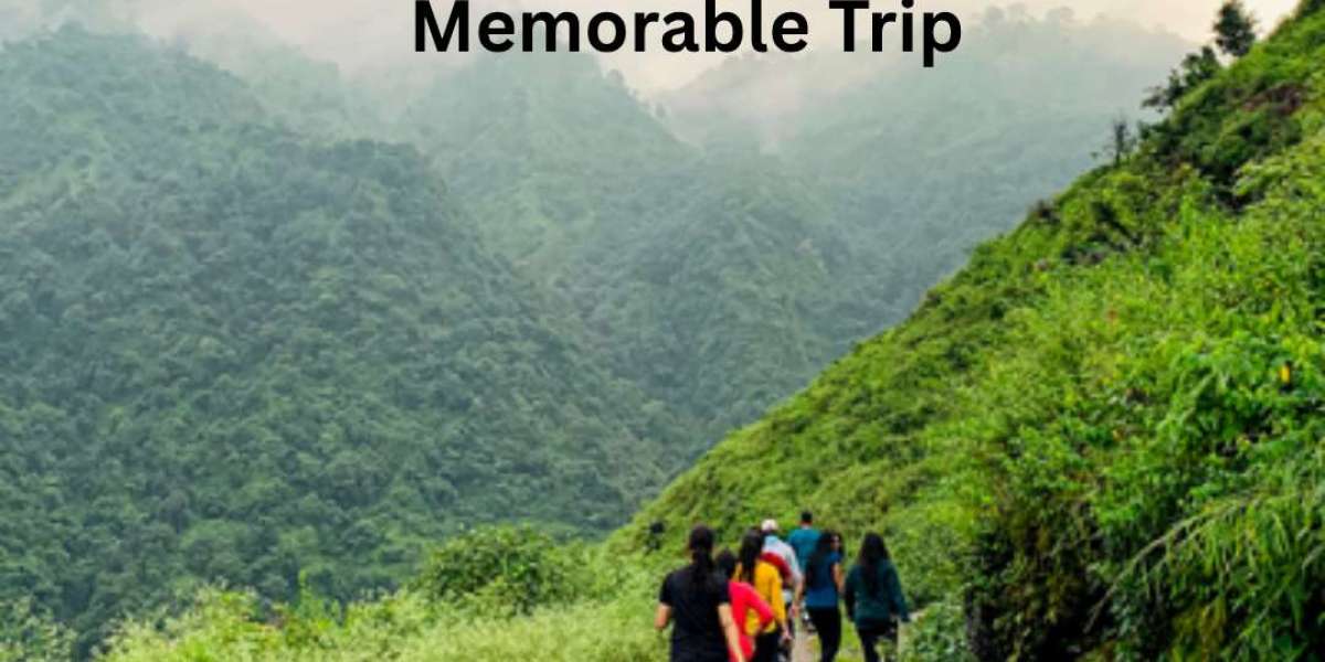Top Places to Visit in Dehradun – Discovering the Charm of the Doon Valley