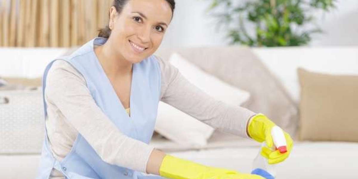 Light Housekeeping Services Tampa, FL