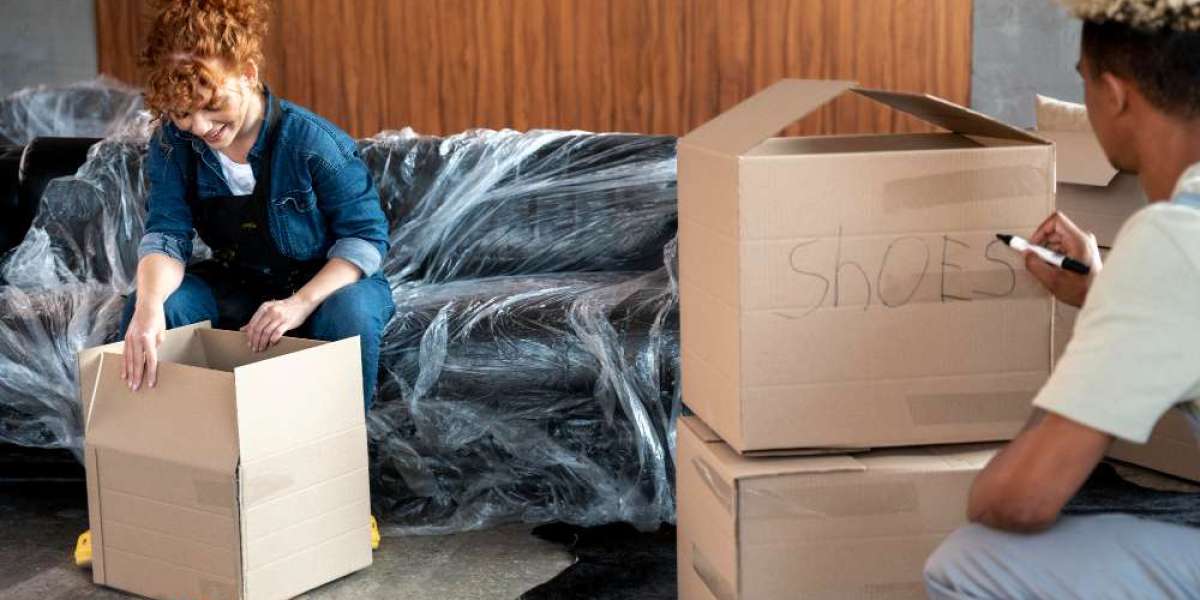 Why Professional House Removalists Are Worth the Investment
