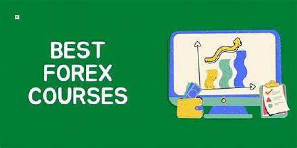 Mastering the Market: What to Expect from a Forex Trading Course