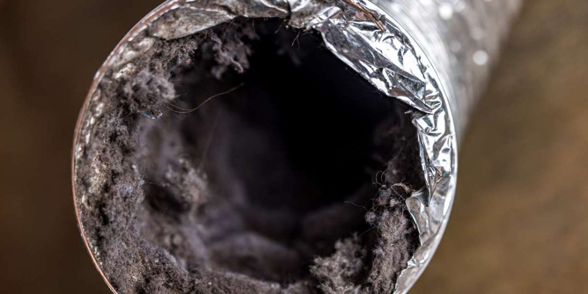 Can dirty air ducts make you sick?