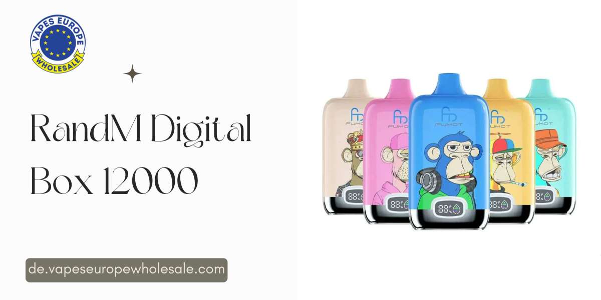 RandM Digital Box 12000 – Innovation, Leistung und Design in einer Einweg-Vape