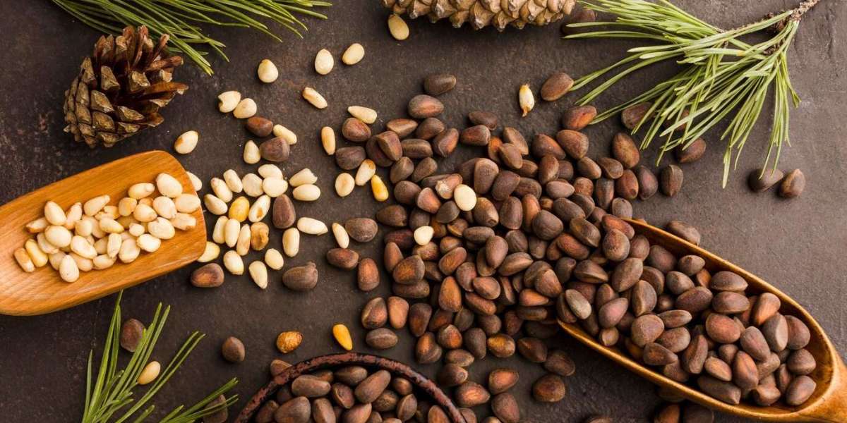Exploring the Plan for Pine Nut Processing Plant Project: Detailed Report by IMARC Group