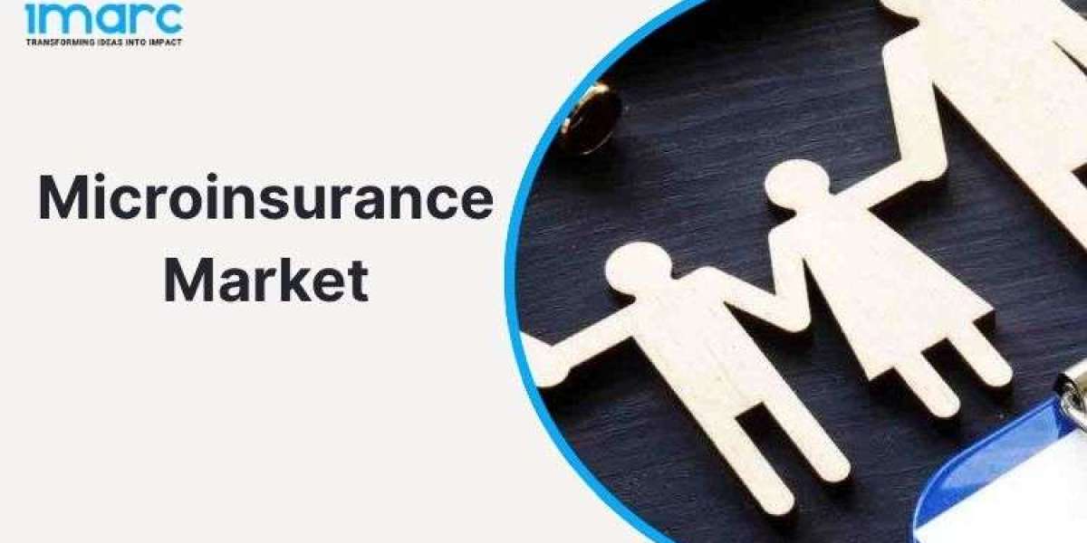 Microinsurance Market Outlook, Growth & Demand Forecast 2025-2033