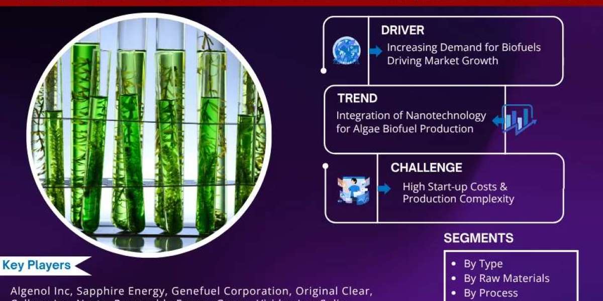 Algae Biofuel Industry Trends, Demand, and Value Outlook 2030