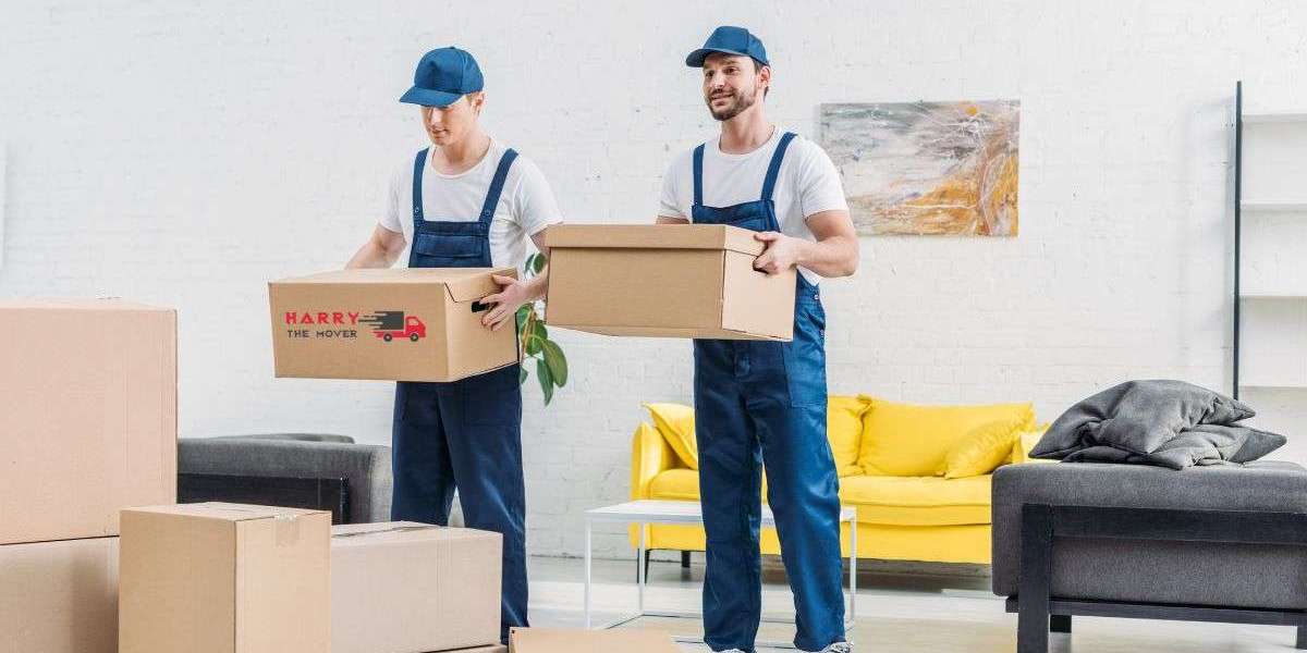 Comprehensive Downsizing Guide: From Family Home to a Two-Bedroom Apartment