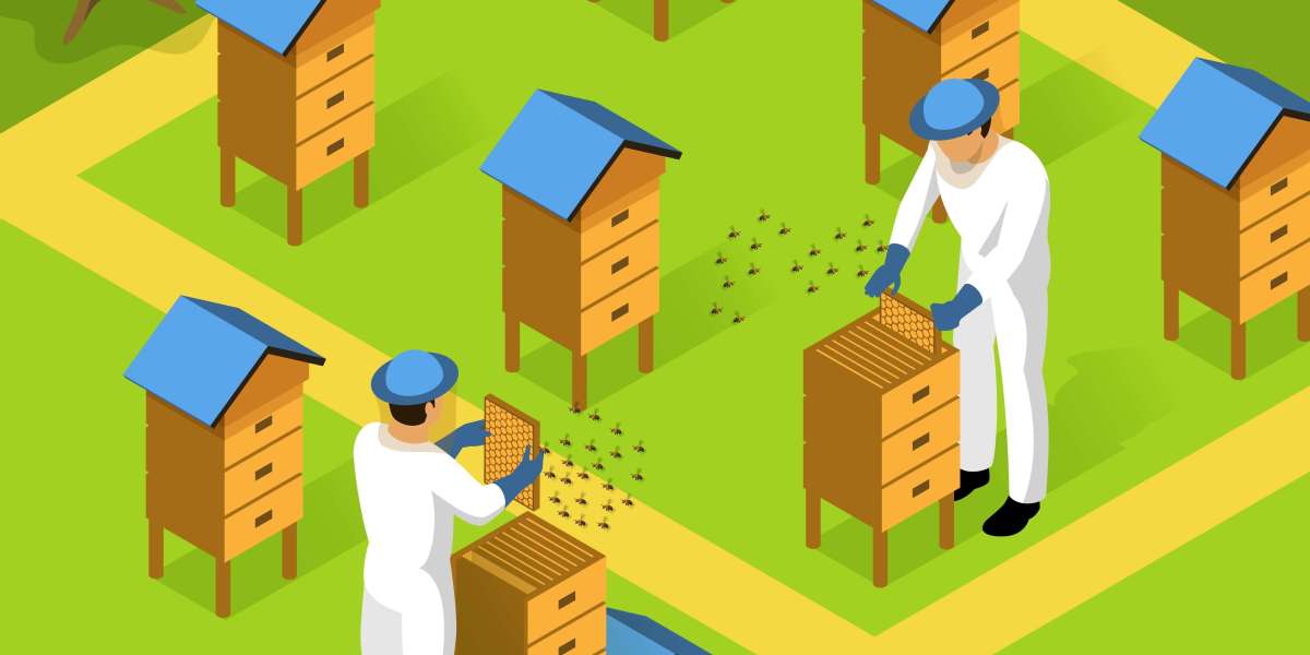 Revolutionizing Apiculture: A Complete Guide to Beehive Monitoring Systems and IoT Advancements in Beekeeping