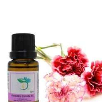 Carnation Absolute Oil Profile Picture