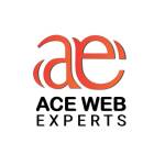acewebexperts30