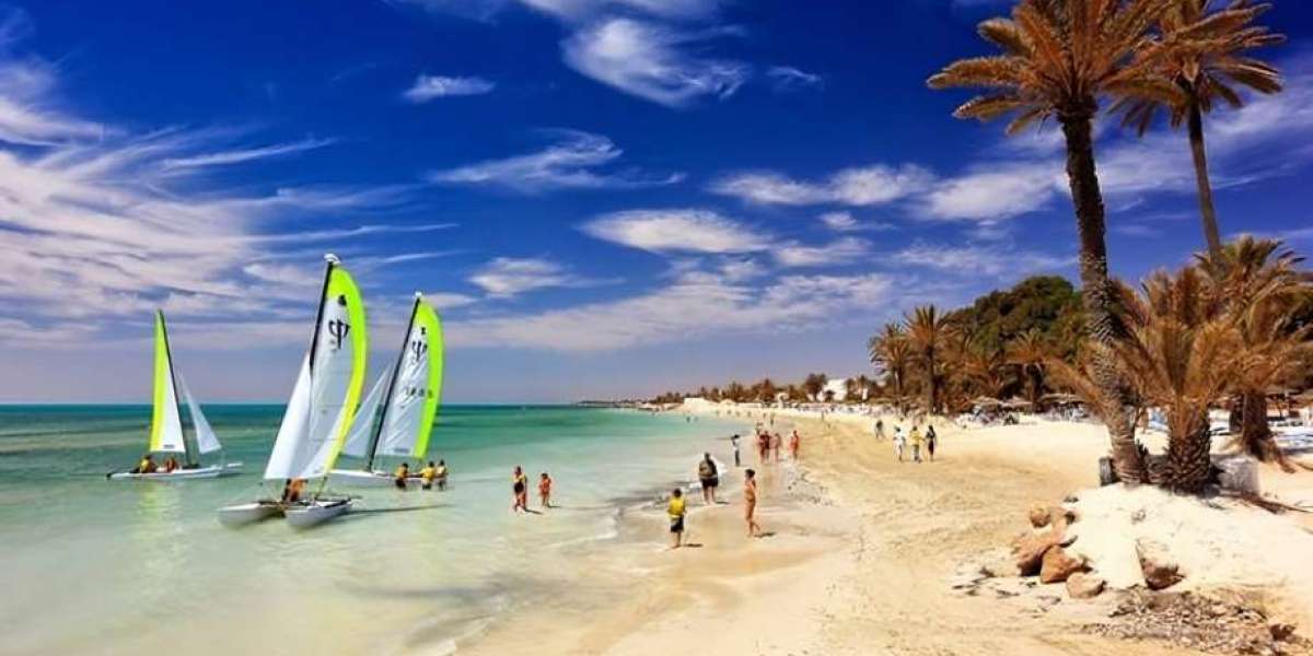 Tips to Avoid Delays During Your Tunisia eVisa Process