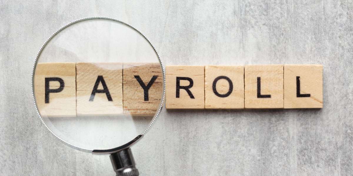 The Future with the Best Payroll Software - What Many Businesses in India Don’t Know