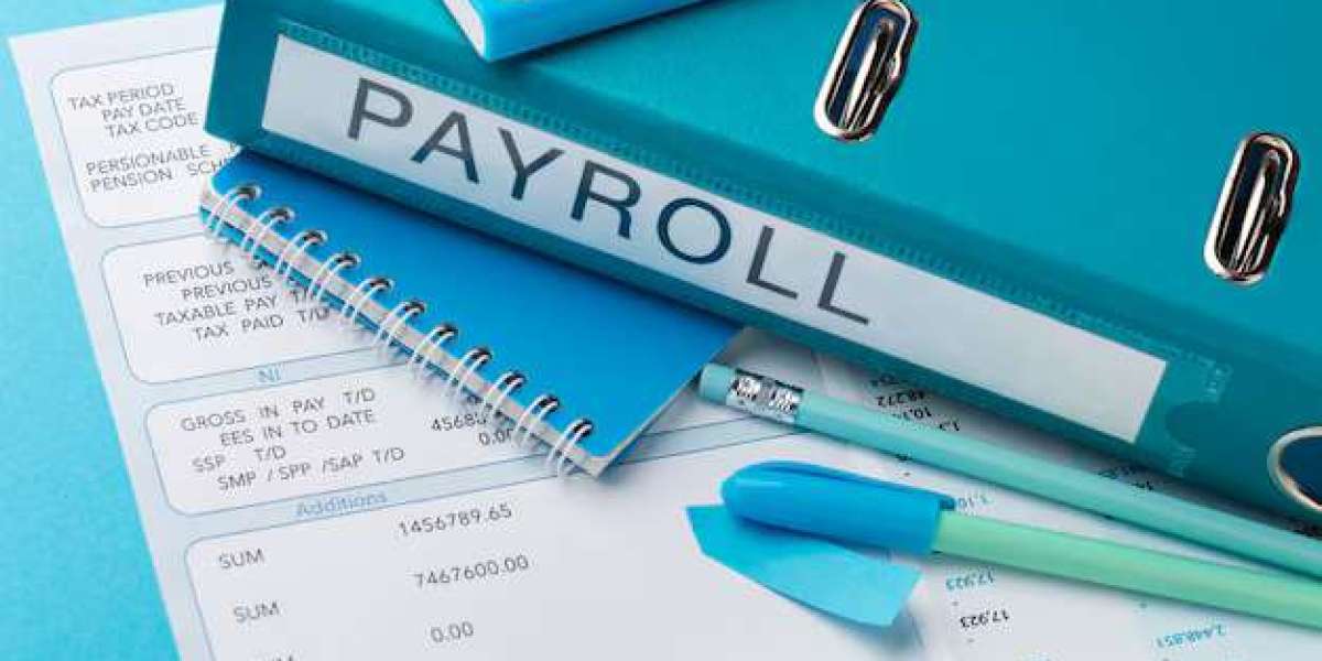Why Payroll Software Is a Game-Changer for Modern Businesses