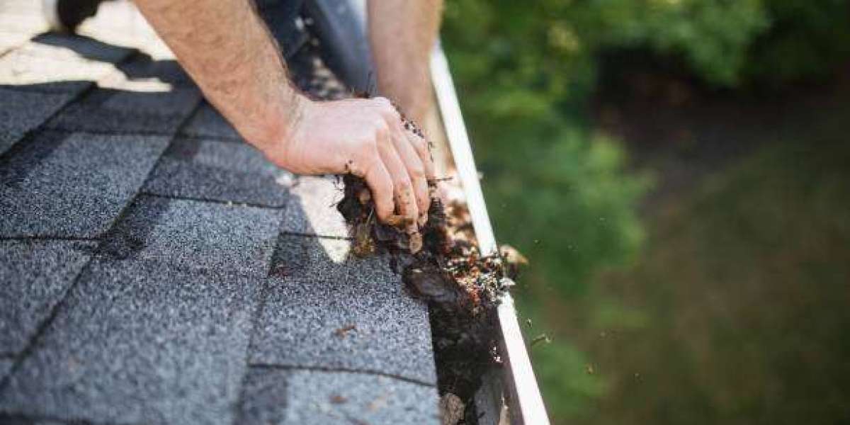 Roof Cleaning: Protecting Your Home from Top to Bottom